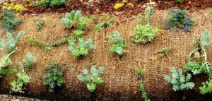 landscape-fabric-in-Little-River-SC-2-300x143.jpg